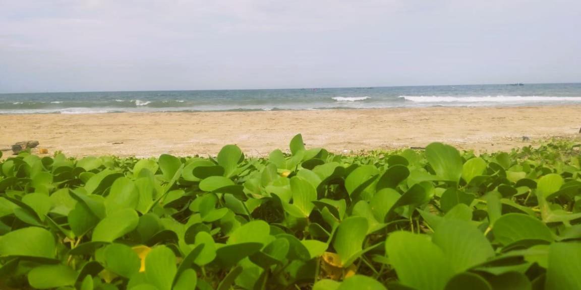Chan Beach Resort Bahur Экстерьер фото