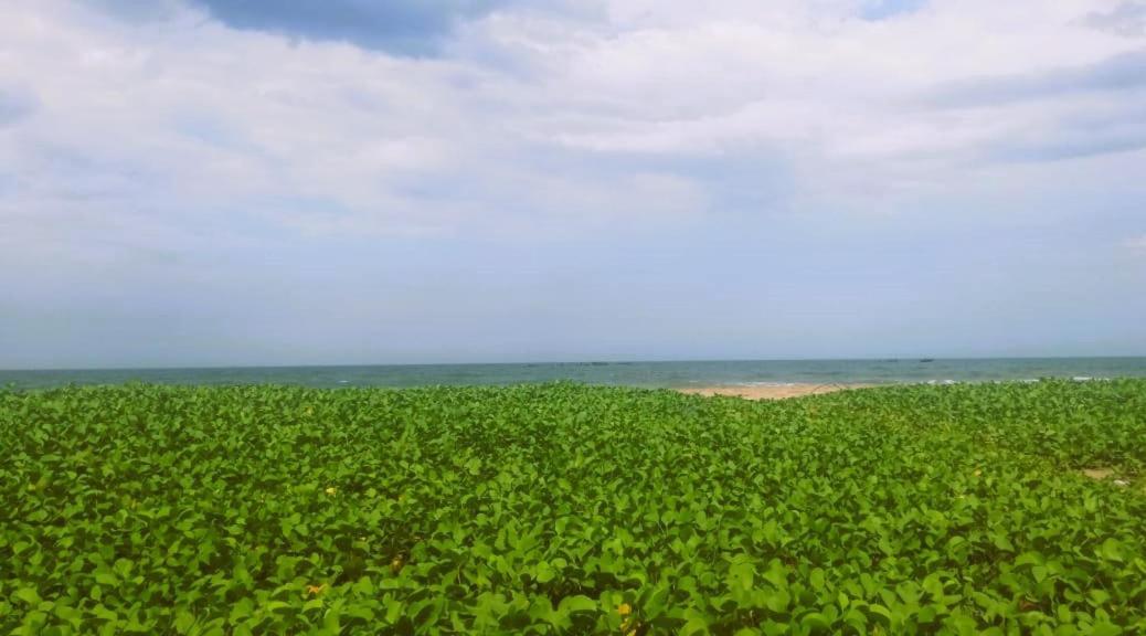 Chan Beach Resort Bahur Экстерьер фото